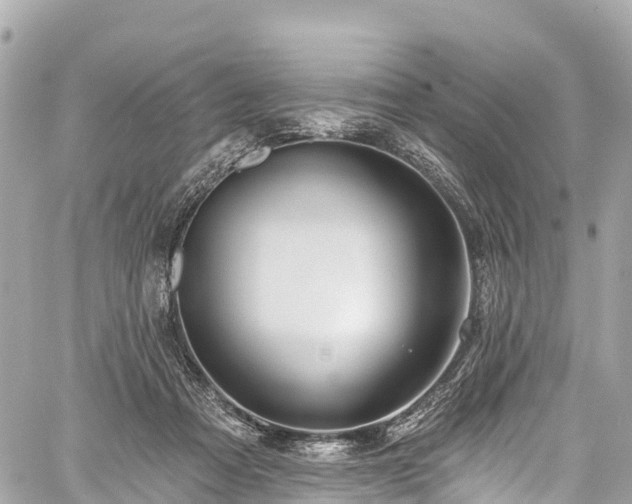 X0000059040313200510101017