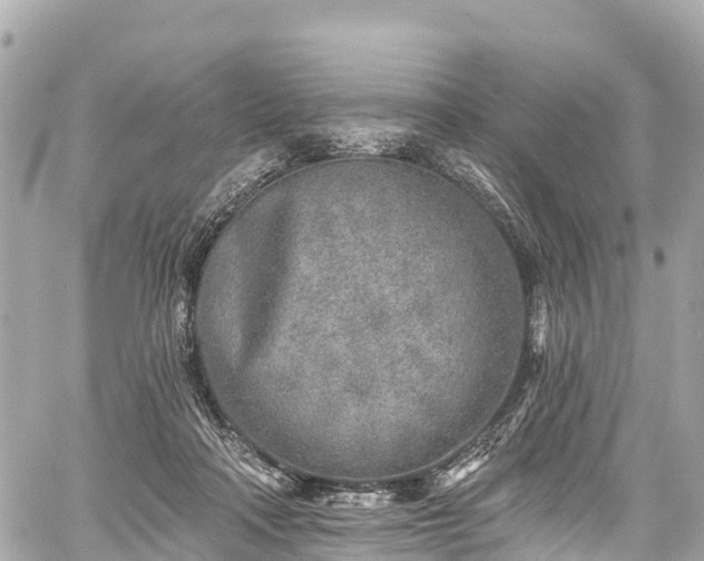 X0000059040314200510101016