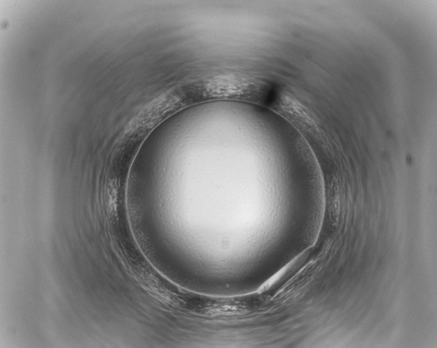 X0000059040315200510101016