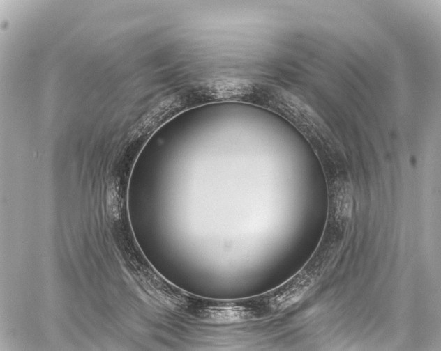 X0000059040316200510101016