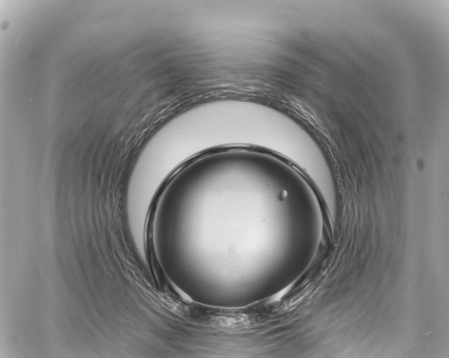 X0000059040317200510101016