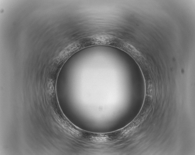 X0000059040318200510101016