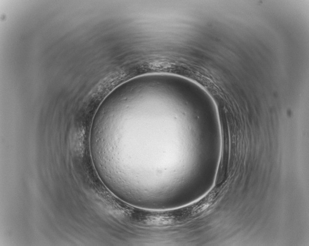 X0000059040319200510101016