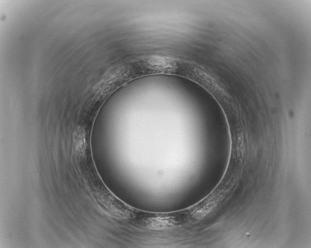 X0000059040320200510101016