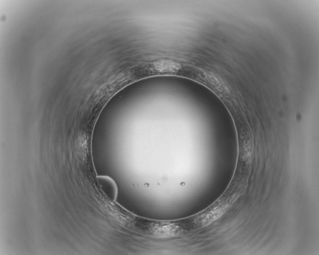 X0000059040321200510101016