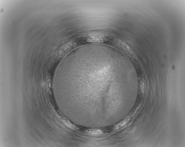 X0000059040322200510101016