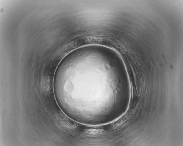 X0000059040323200510101016