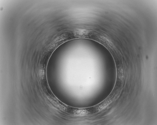 X0000059040324200510101016