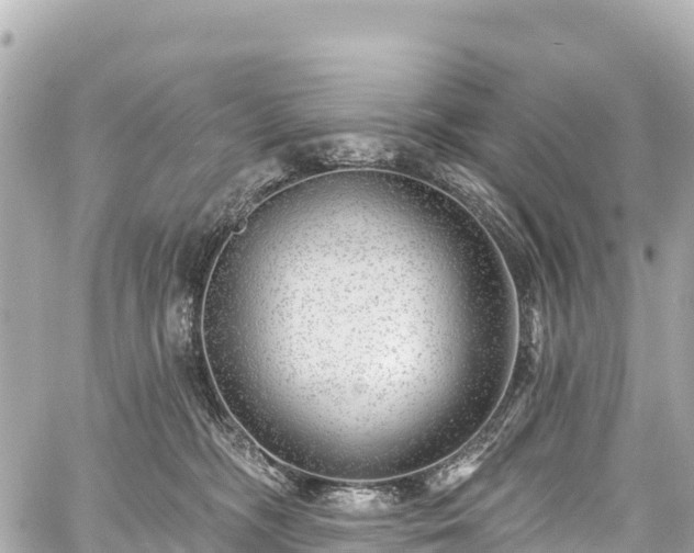 X0000059040326200510101016