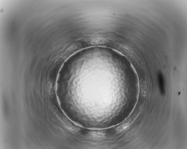 X0000059040327200510101016