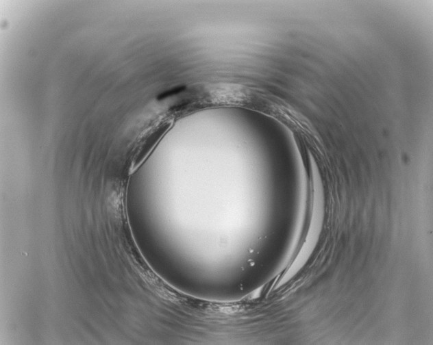 X0000059040329200510101016