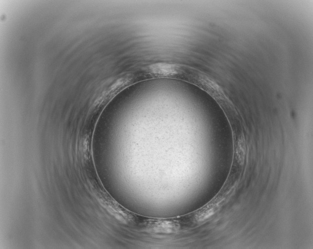 X0000059040330200510101016