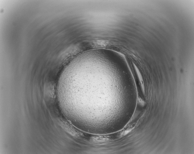 X0000059040331200510101016