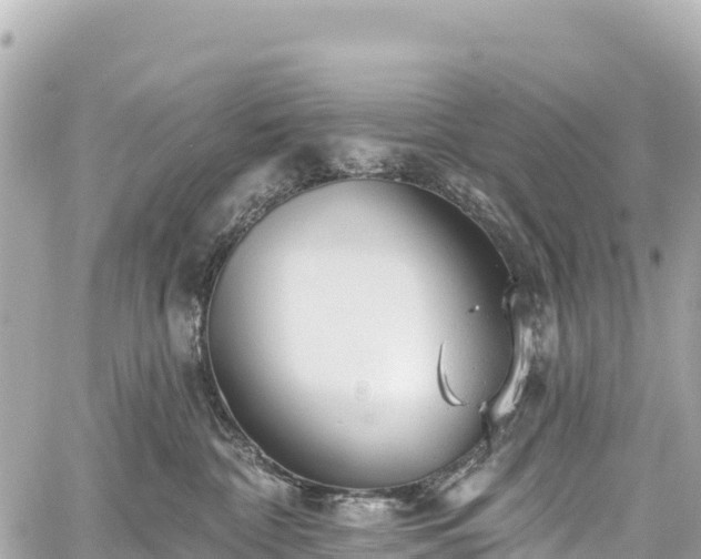 X0000059040332200510101016