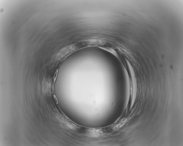 X0000059040333200510101016