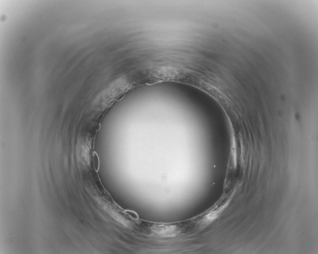 X0000059040334200510101016