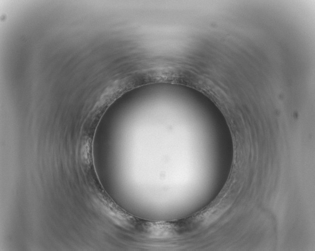 X0000059040336200510101016