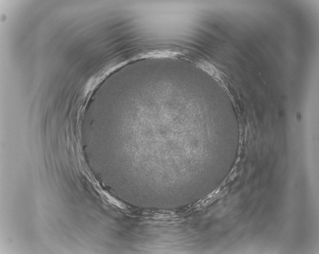 X0000059040337200510101015