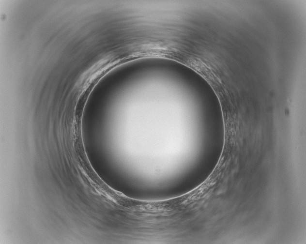 X0000059040338200510101015