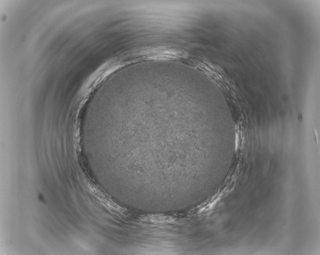 X0000059040339200510101015