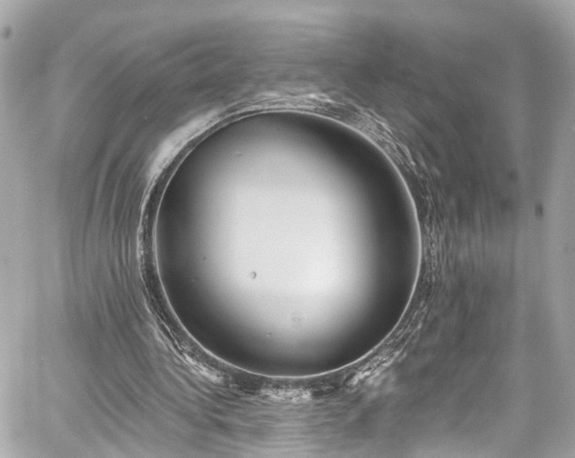 X0000059040340200510101015