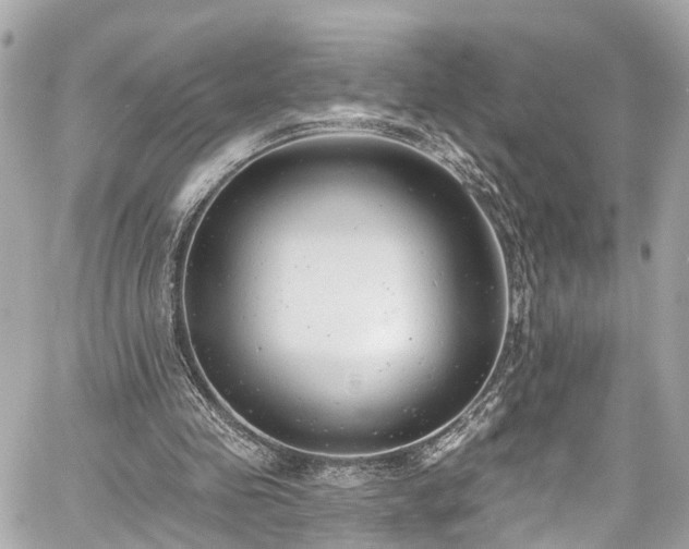 X0000059040341200510101015