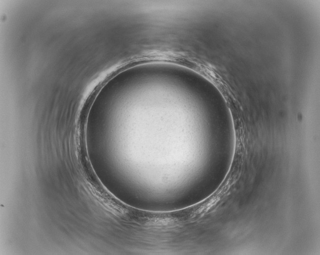 X0000059040342200510101015