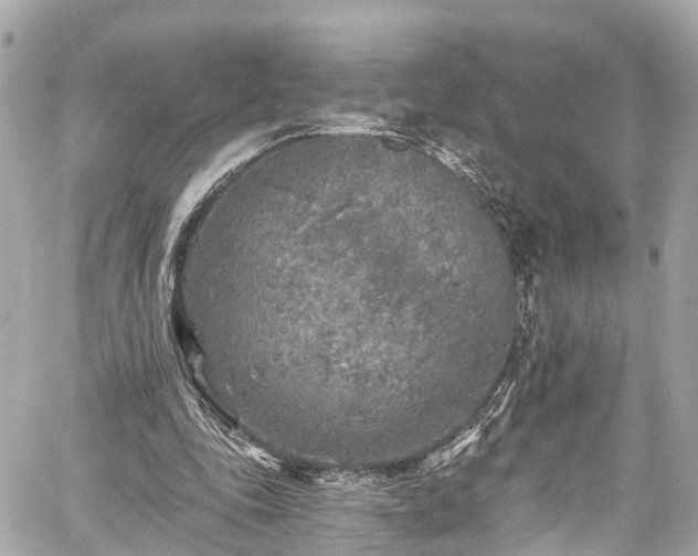 X0000059040343200510101015