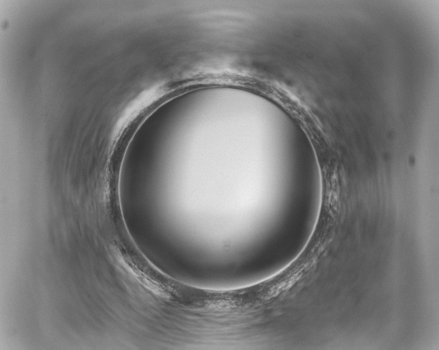 X0000059040344200510101015