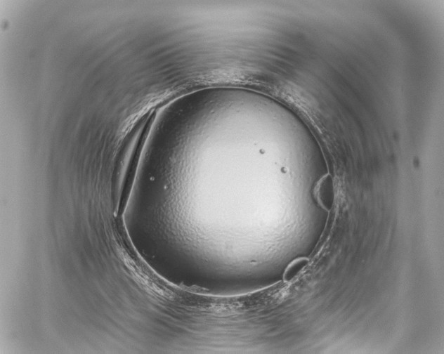 X0000059040345200510101015