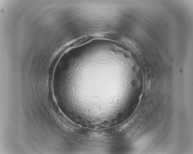 X0000059040346200510101015