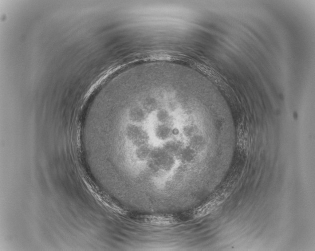 X0000059040347200510101015