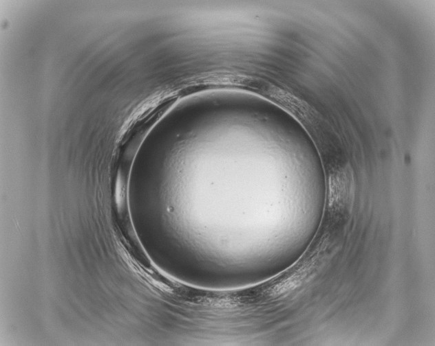 X0000059040349200510101016