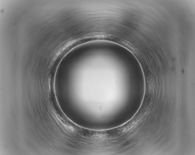 X0000059040350200510101016