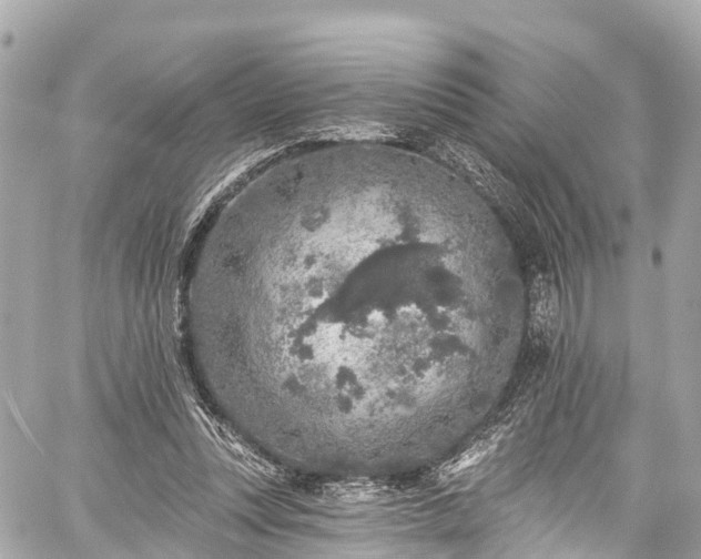 X0000059040351200510101016