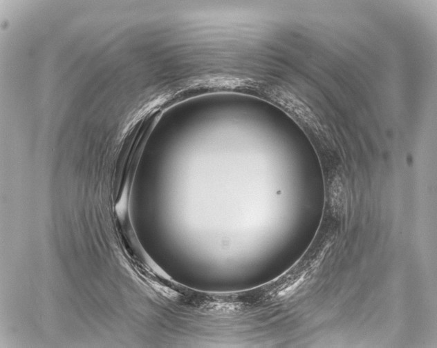 X0000059040352200510101016