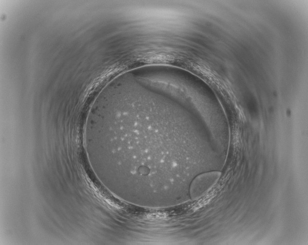 X0000059040353200510101016