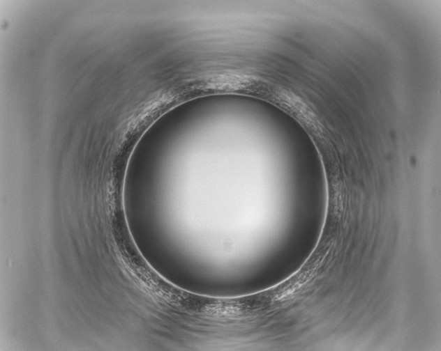 X0000059040354200510101016