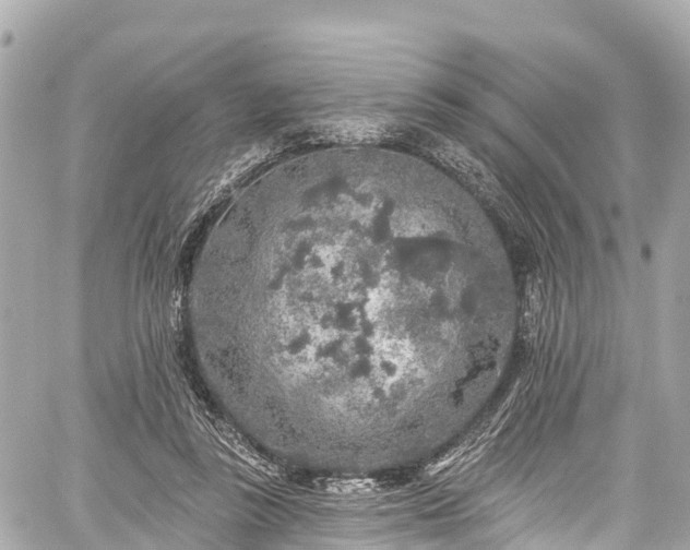 X0000059040355200510101016