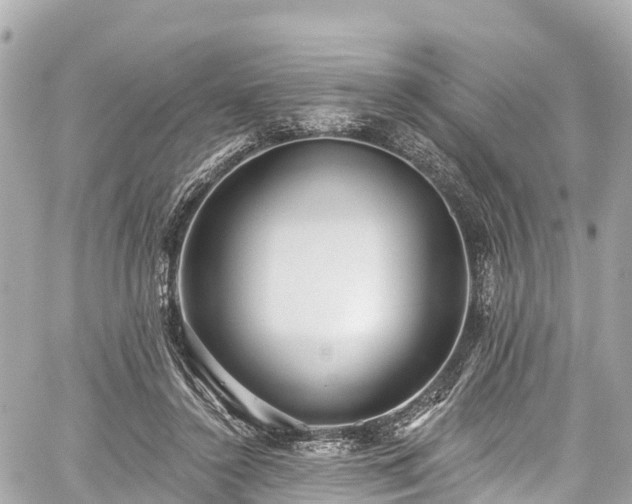 X0000059040356200510101016