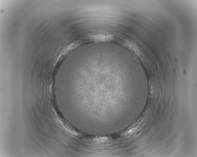 X0000059040357200510101016