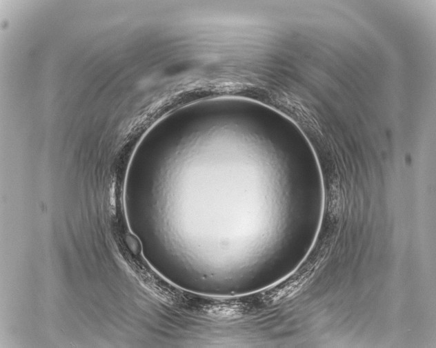 X0000059040358200510101016