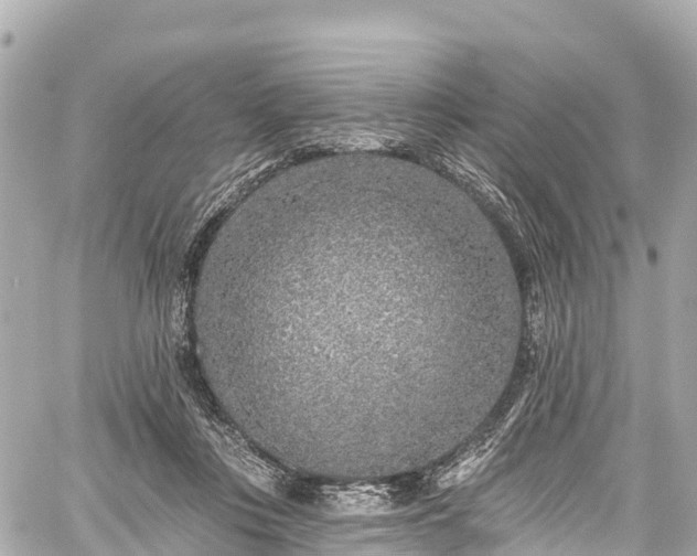 X0000059040359200510101016