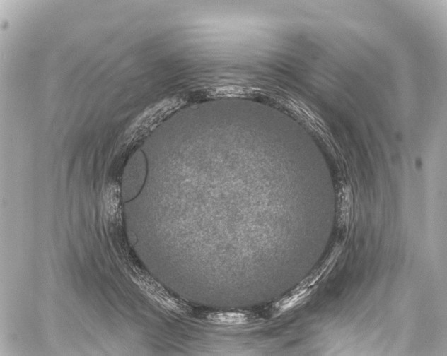 X0000059040361200510101016