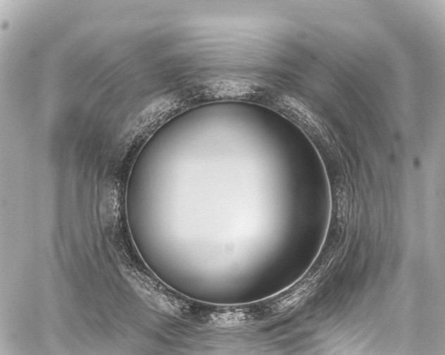 X0000059040362200510101016