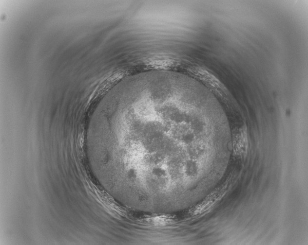 X0000059040365200510101016