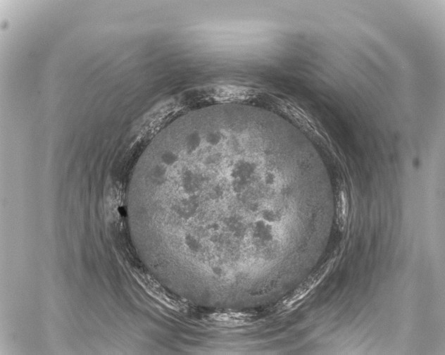 X0000059040367200510101016