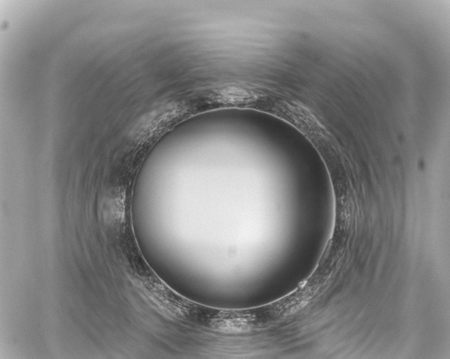 X0000059040368200510101016