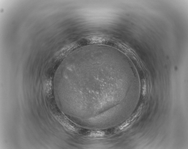 X0000059040369200510101016