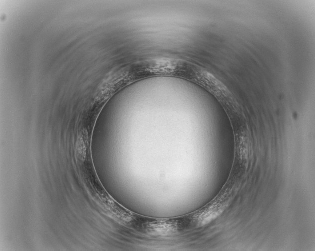 X0000059040370200510101016